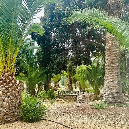 Appartamento Sol Mediterraneo Palm 1